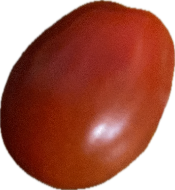 Tomato, a recorded specimen