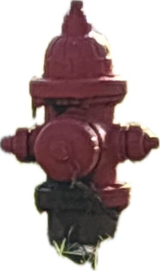 Fire Hydrant, a recorded specimen