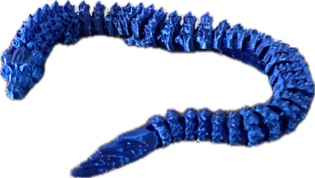 Toy Worm, a captured specimen