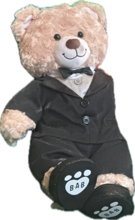 Stuffed Bear, a recorded specimen