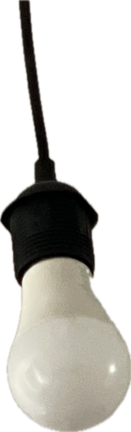 Light Bulb, a recorded specimen