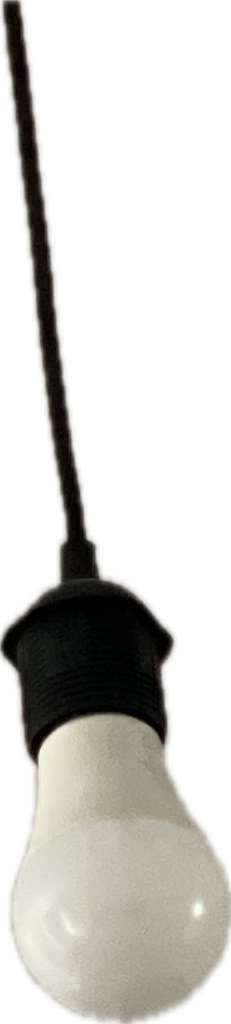 Light Bulb, a captured specimen