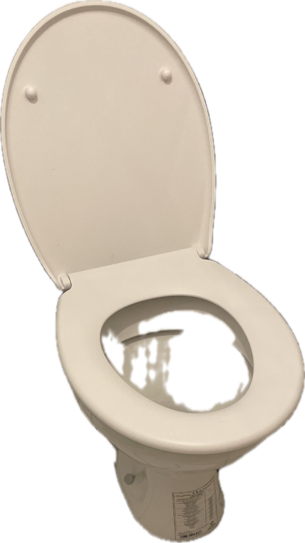 Toilet, a recorded specimen