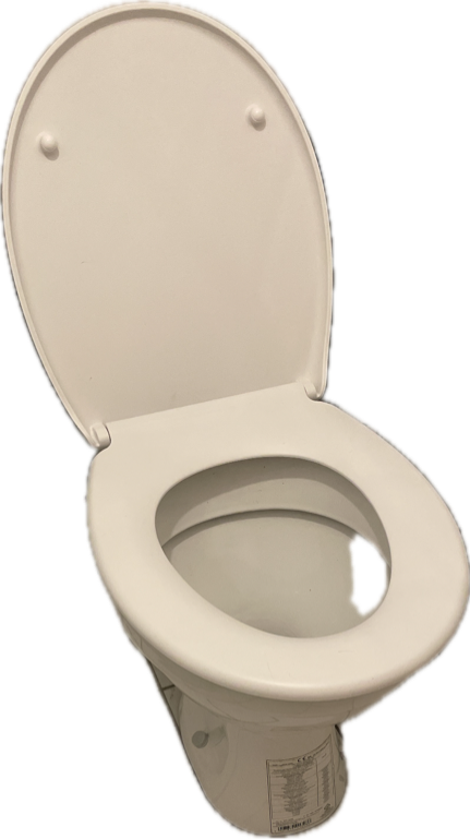 Toilet, a recorded specimen