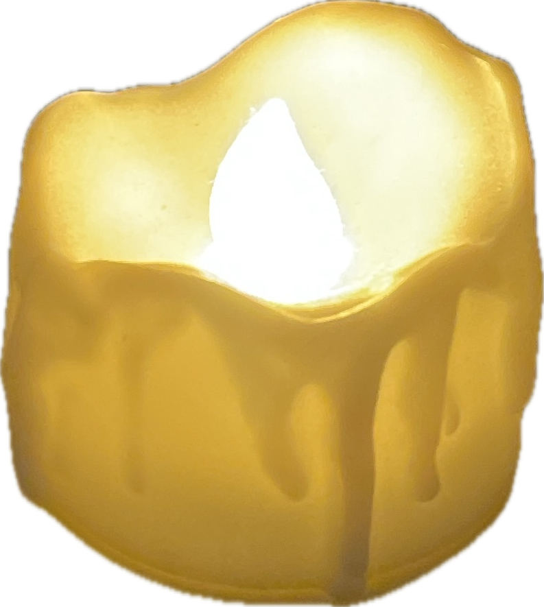 Led Candle, a captured specimen