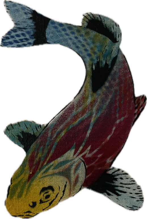 Betta Fish Artwork, a captured specimen