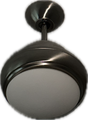 Ceiling Fan, a recorded specimen