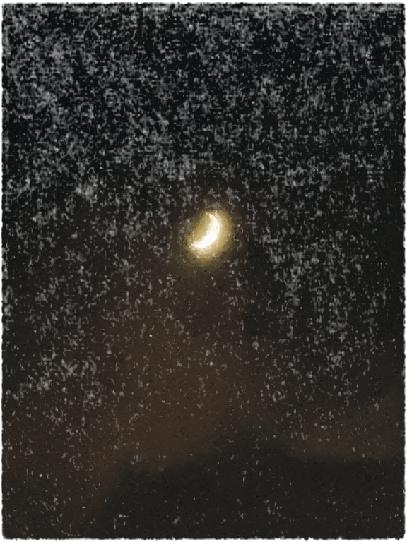 Crescent Moon, a recorded specimen