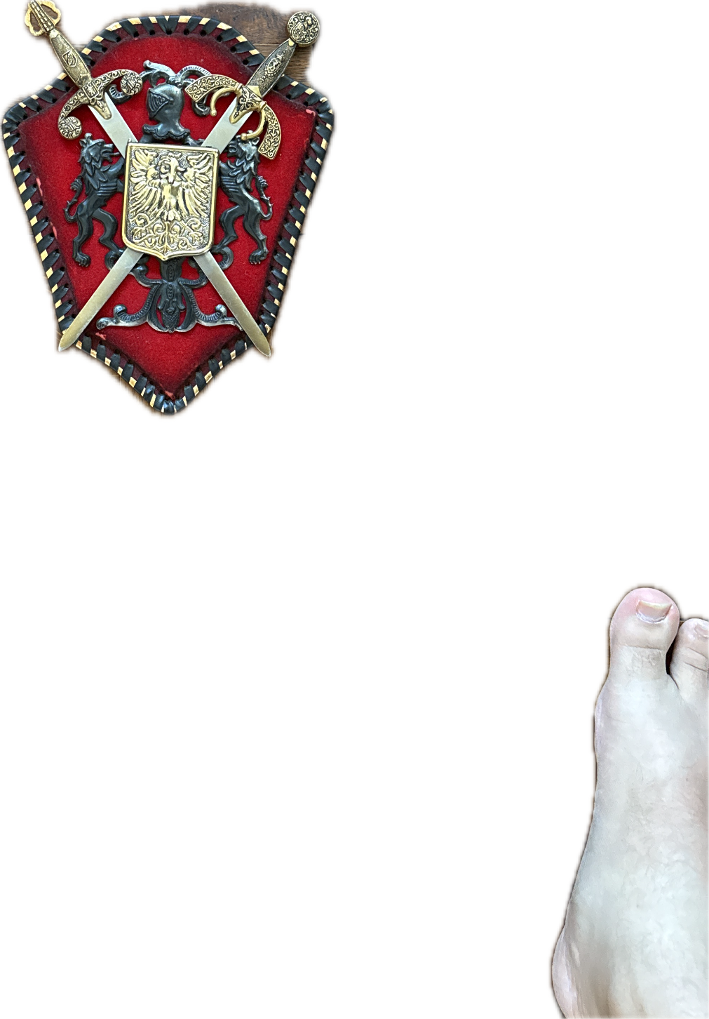 Heraldic Shield, a recorded specimen