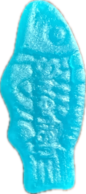 Fish Figurine, a captured specimen