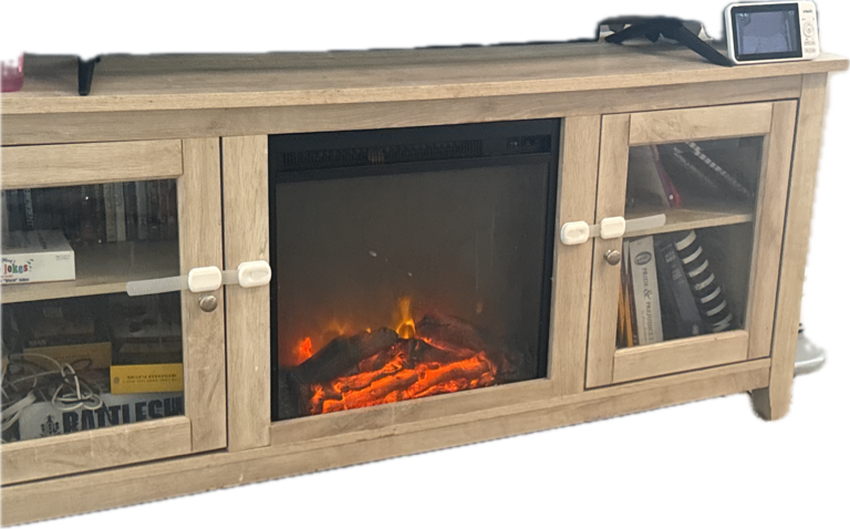 Electric Fireplace, a captured specimen