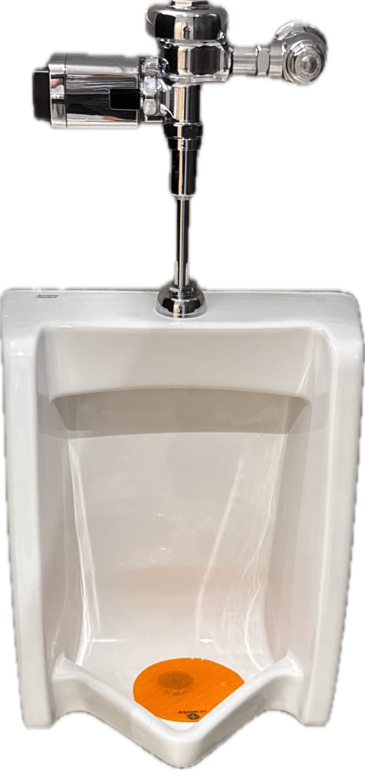 Urinal Screen, a captured specimen