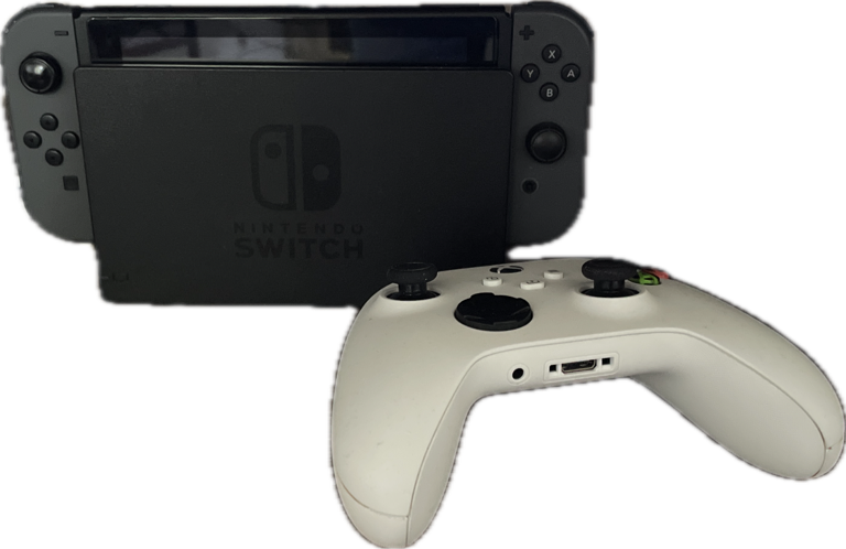 Nintendo Switch, a captured specimen