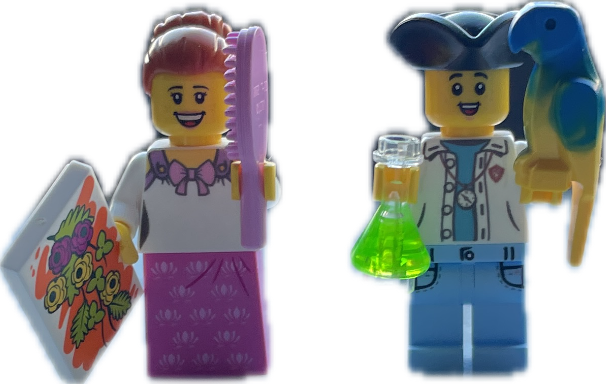 Lego Minifigure, a recorded specimen