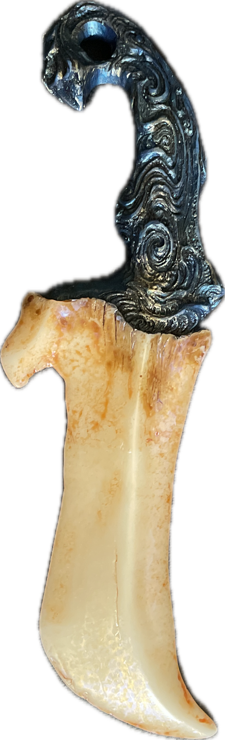 Letter Opener, a captured specimen