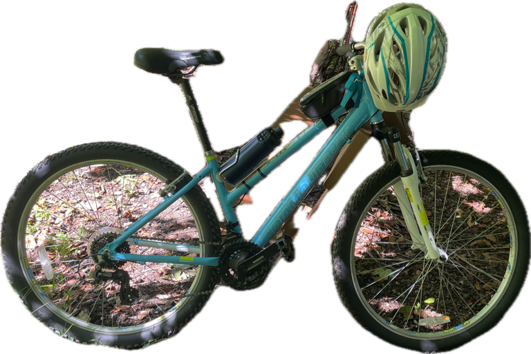 Bicycle, a recorded specimen
