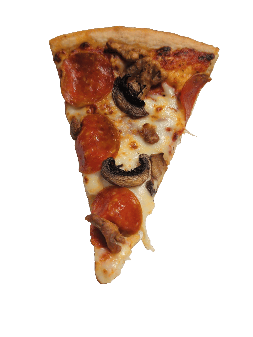 Pizza Slice, a captured specimen