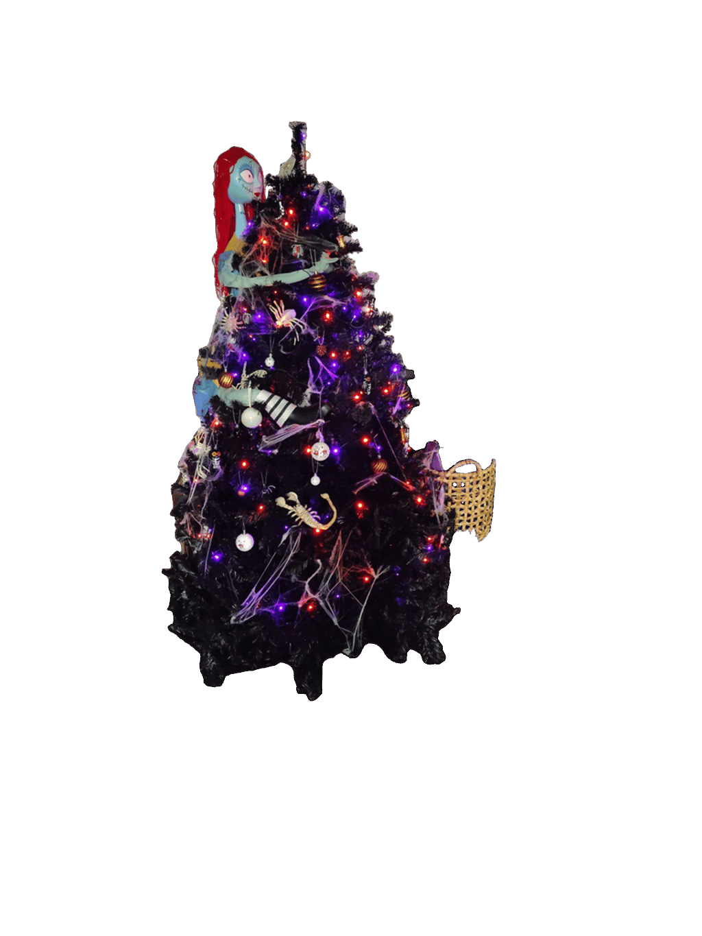 Halloween Tree, a recorded specimen