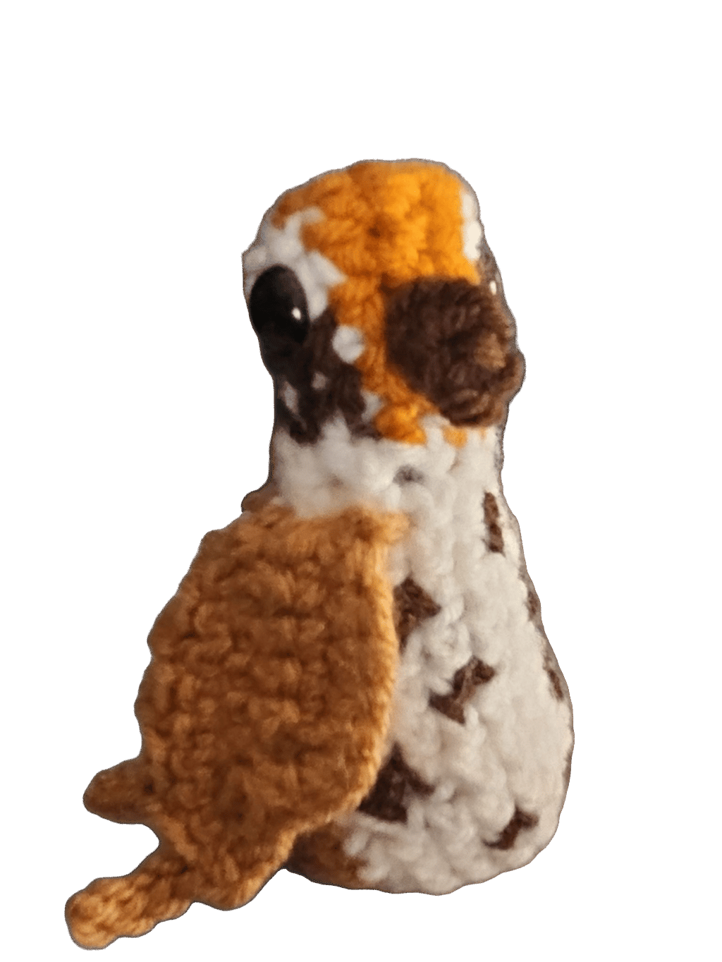 Stuffed Meerkat, a captured specimen