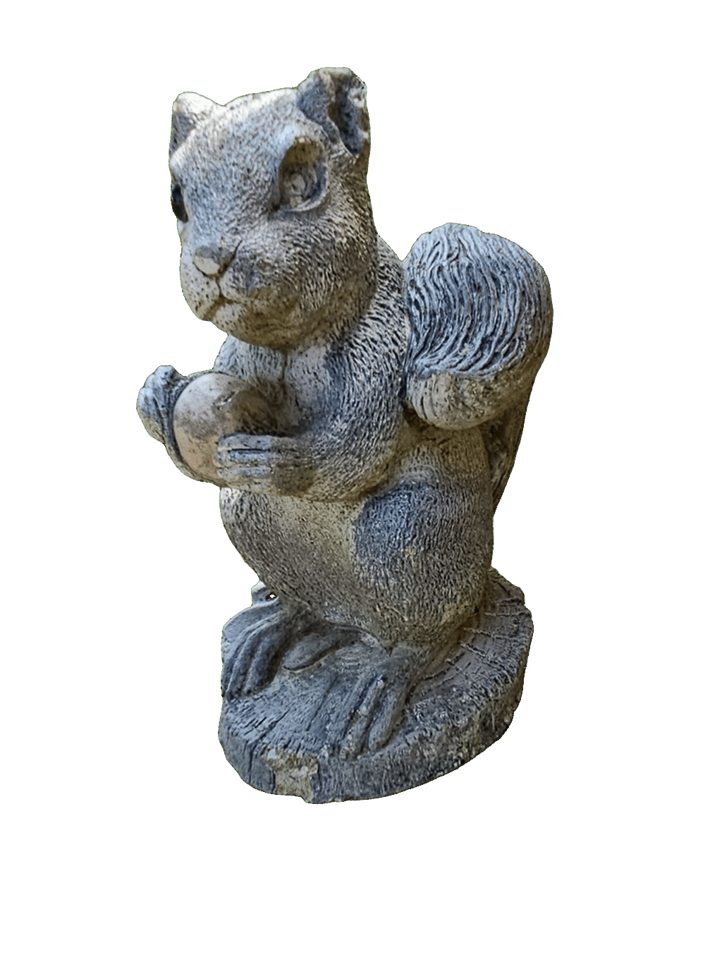 Squirrel Statue, a captured specimen