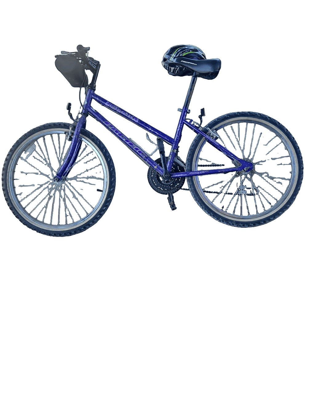 Bicycle, a recorded specimen
