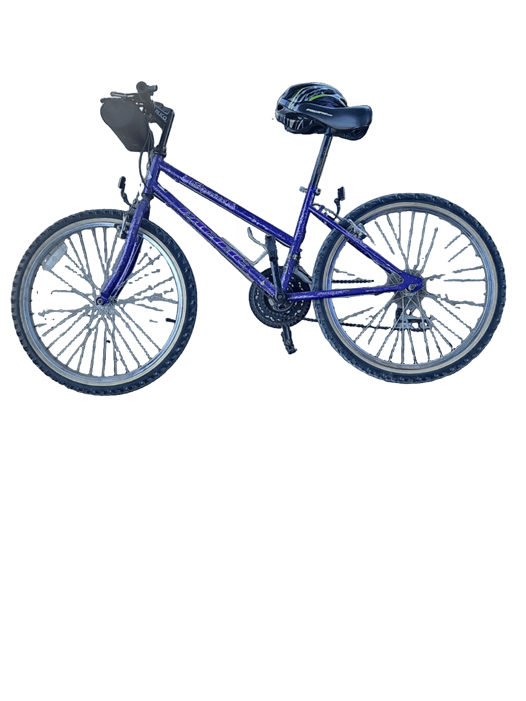 Bicycle, a recorded specimen