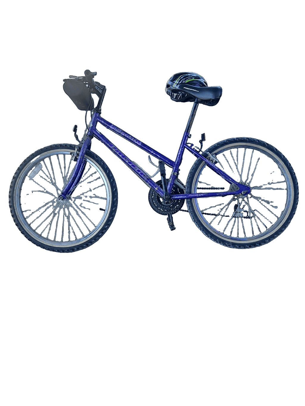 Bicycle, a recorded specimen
