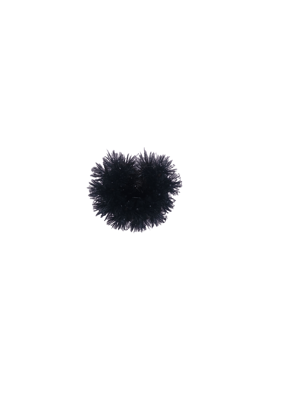 Woolly Bear Caterpillar