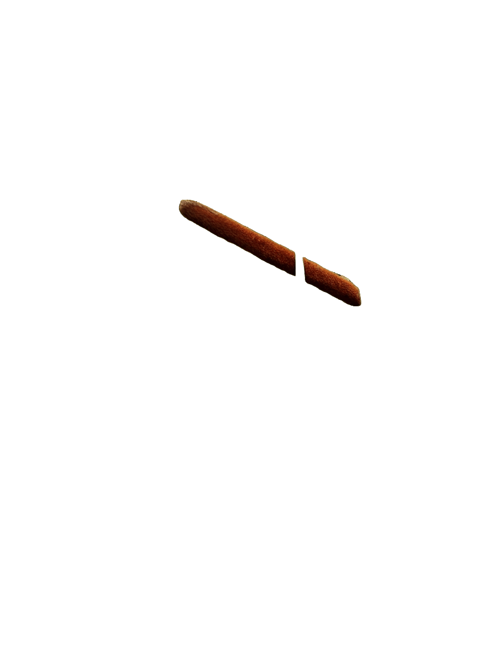 Cattail, a captured specimen