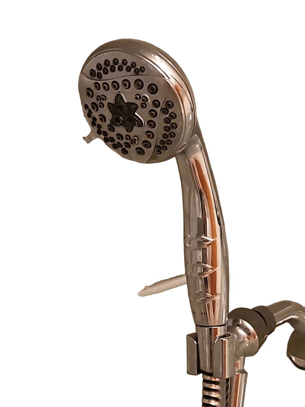 Shower Head, a recorded specimen
