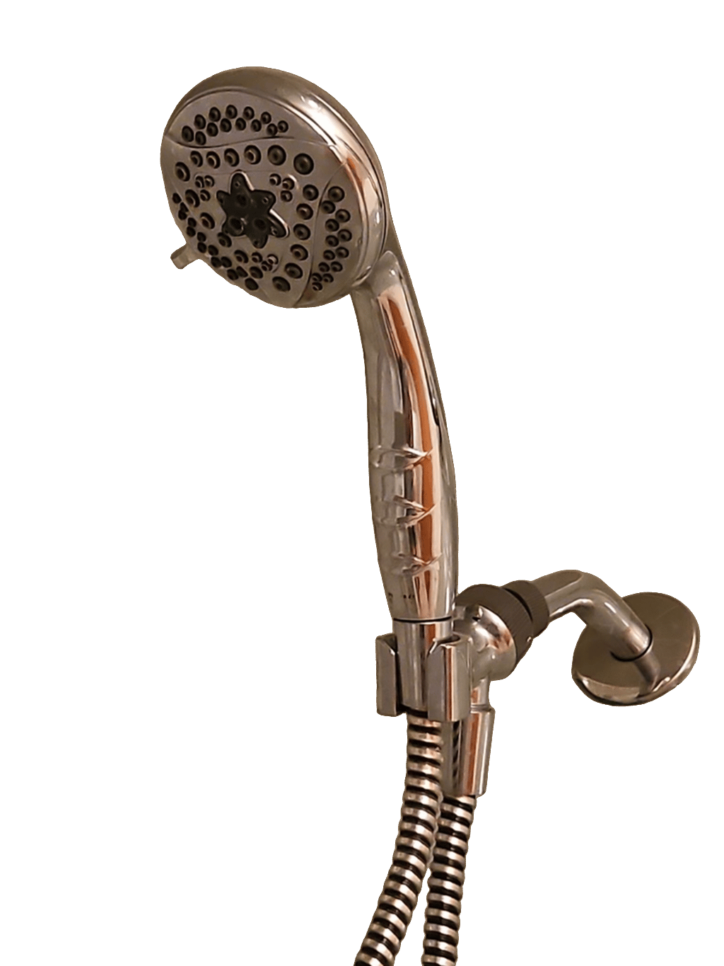 Shower Head, a recorded specimen