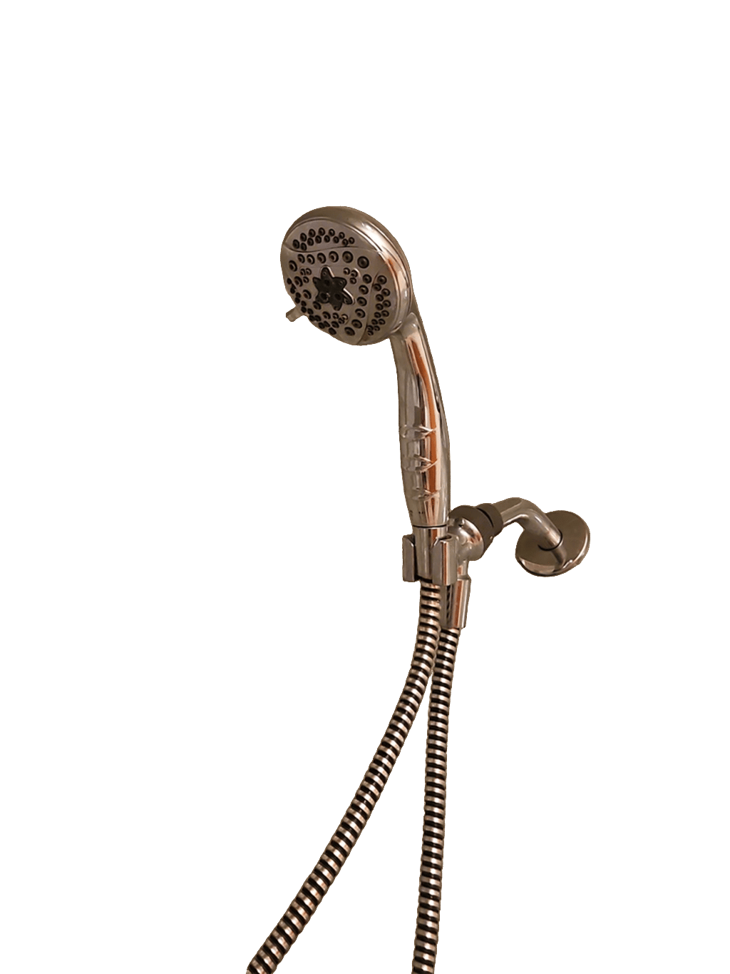 Shower Head, a recorded specimen