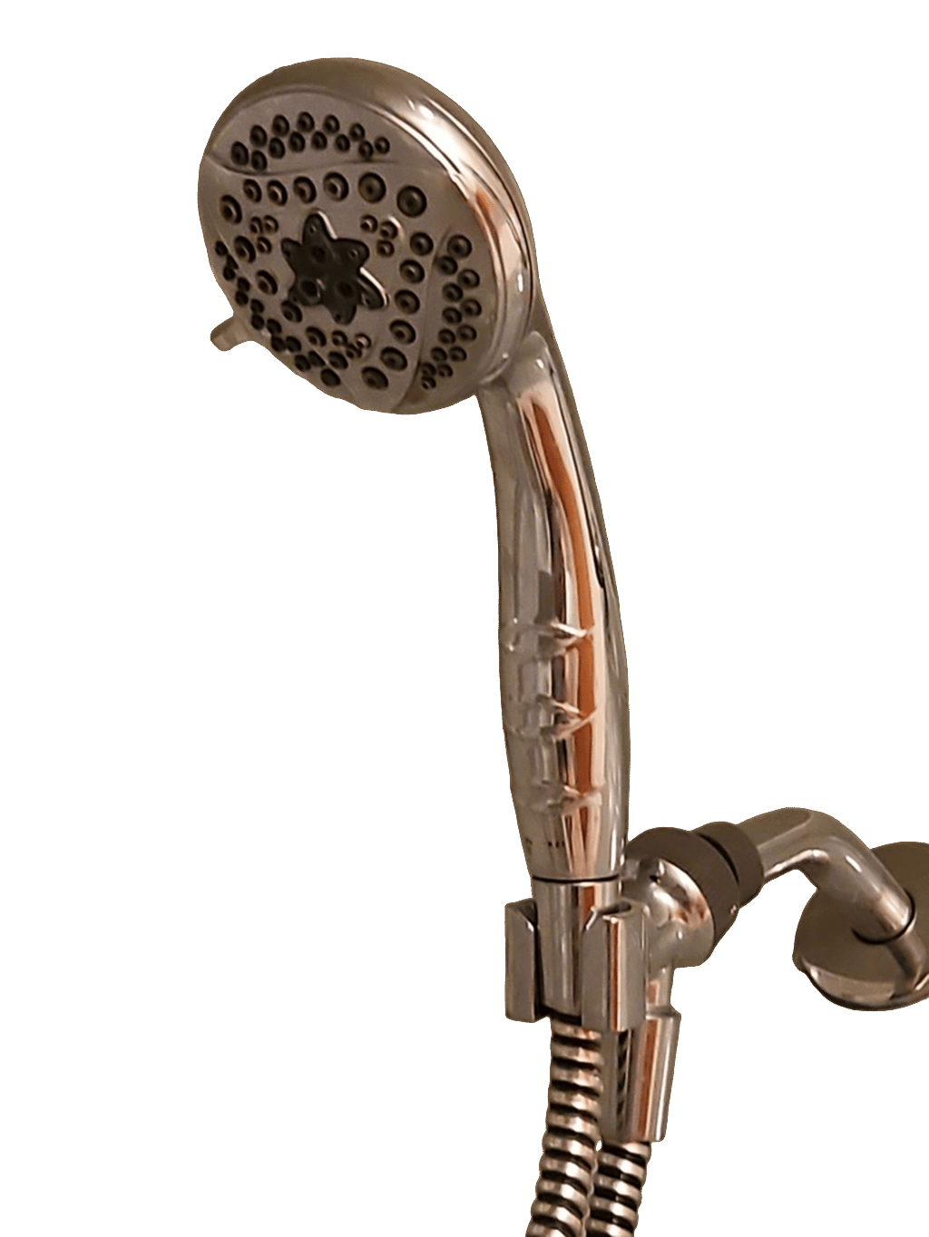 Shower Head, a recorded specimen