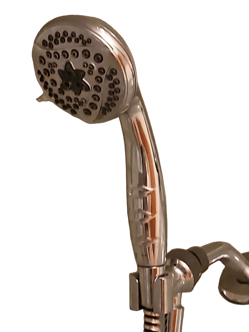 Showerhead, a captured specimen