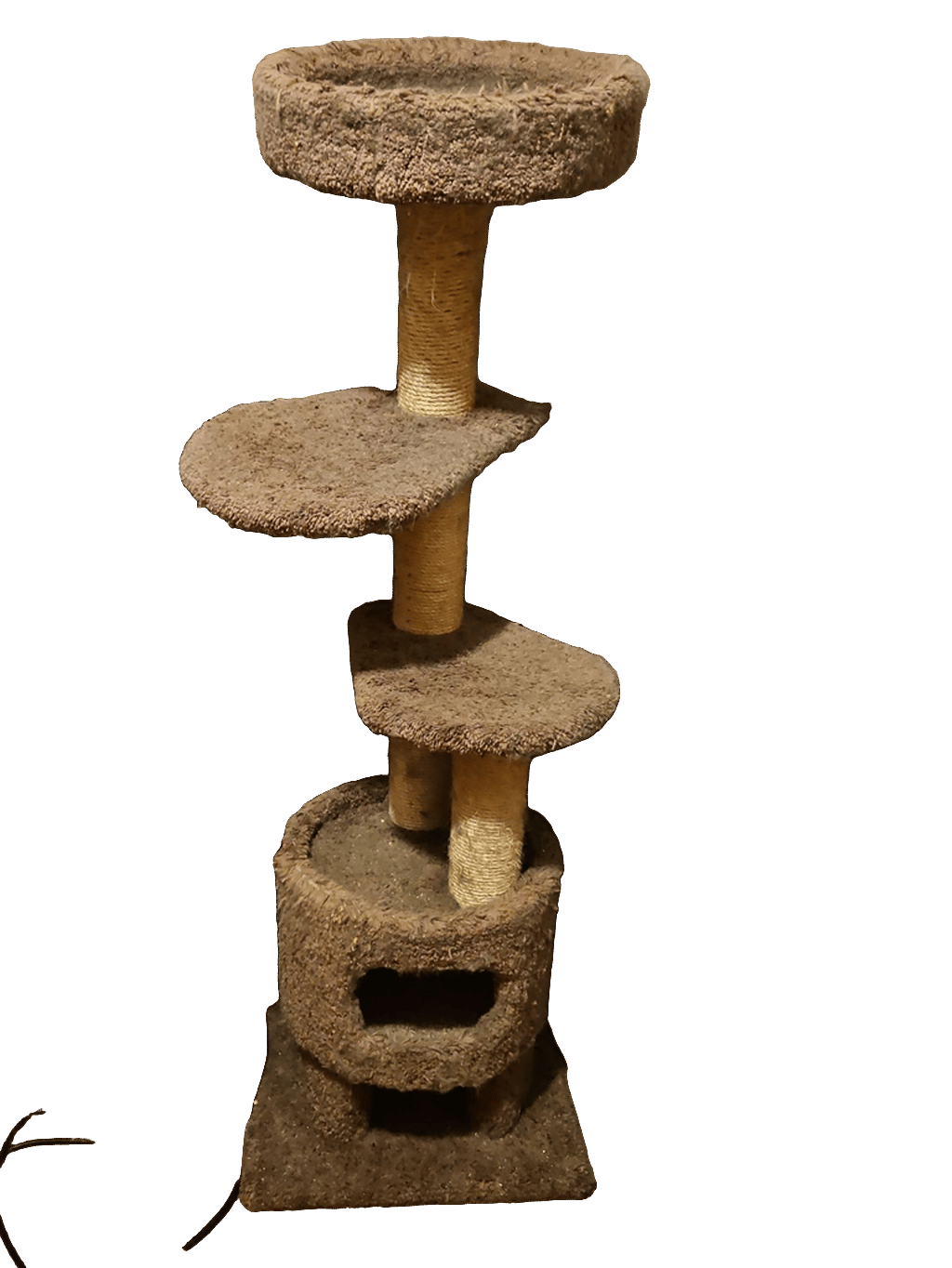 Cat Tree, a captured specimen