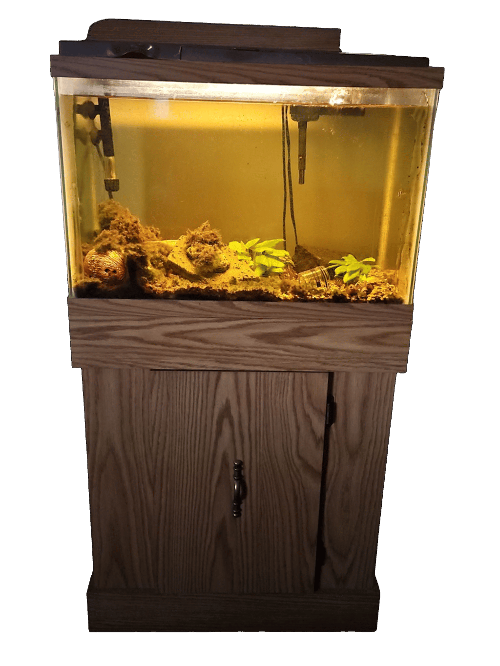 Aquarium, a recorded specimen