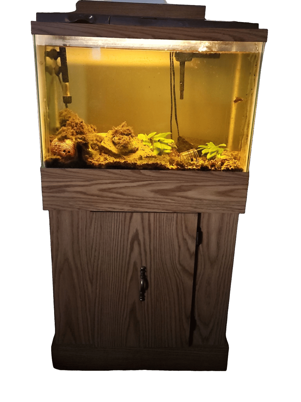 Aquarium, a recorded specimen