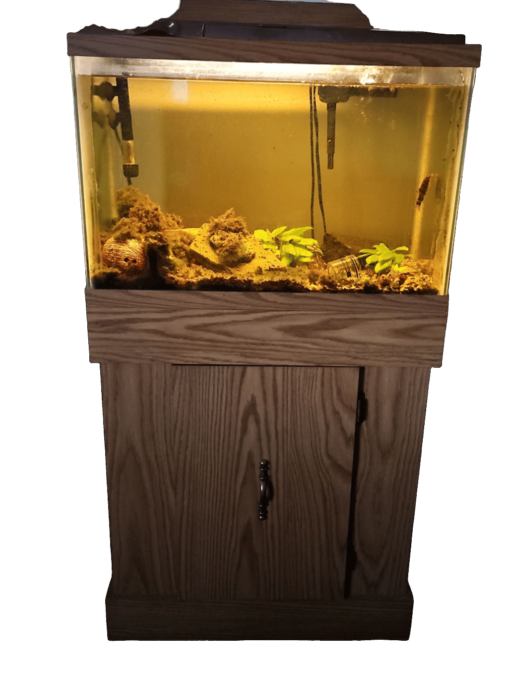 Aquarium, a recorded specimen