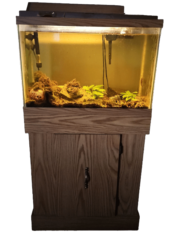 Aquarium, a recorded specimen