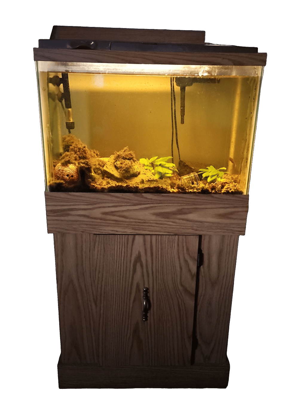 Aquarium, a recorded specimen