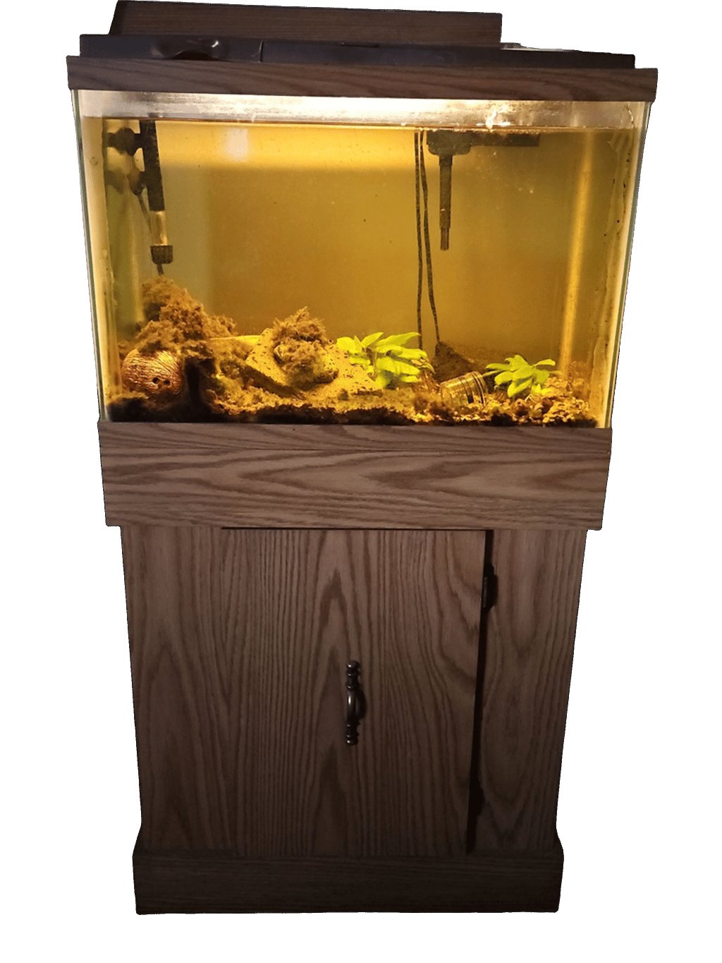 Aquarium, a recorded specimen