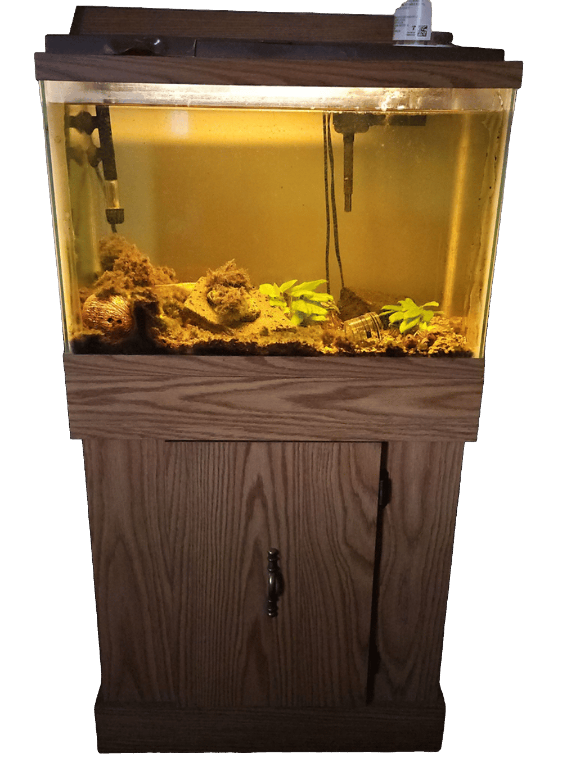 Aquarium, a recorded specimen