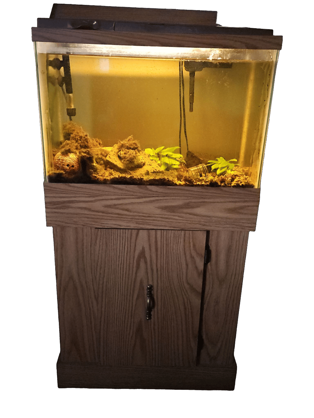 Aquarium, a recorded specimen