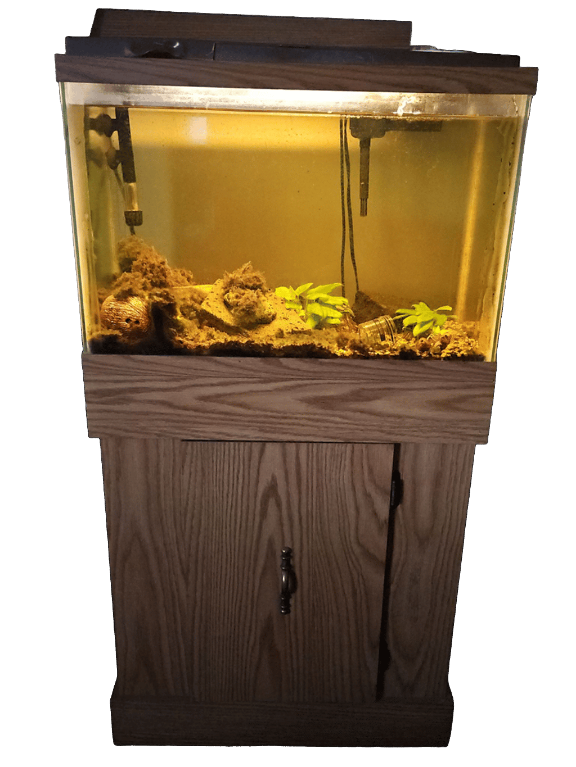 Aquarium, a recorded specimen