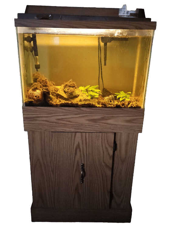 Aquarium, a recorded specimen