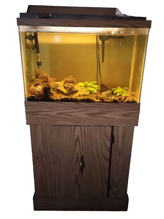 Aquarium, a recorded specimen