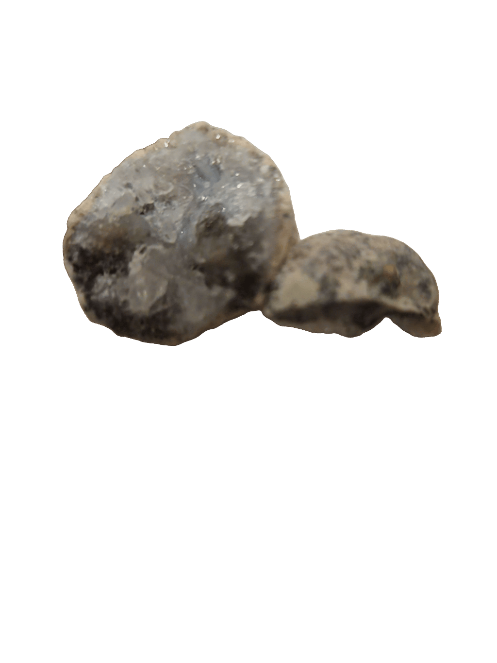 Geode, a captured specimen