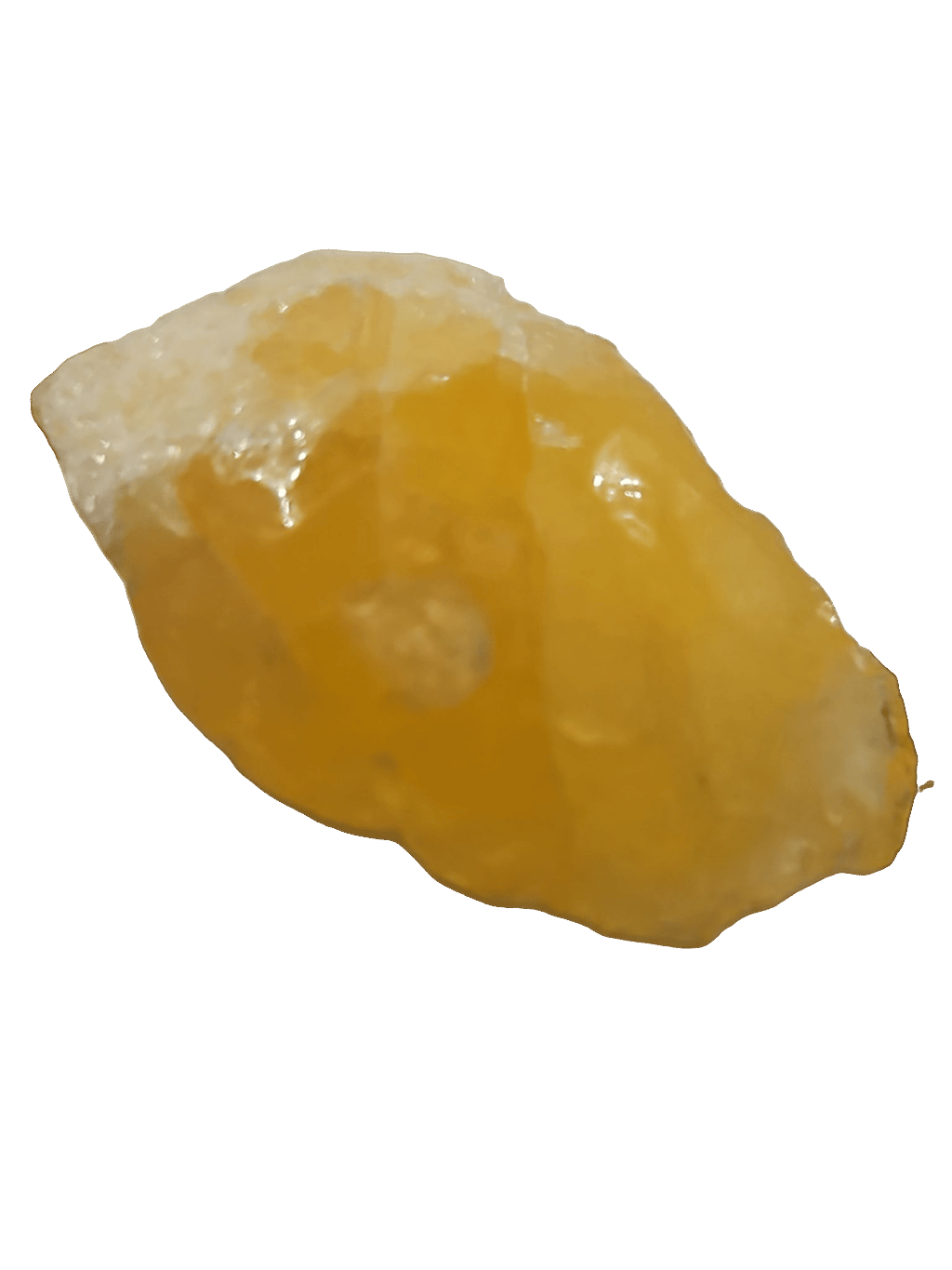 Amber, a captured specimen