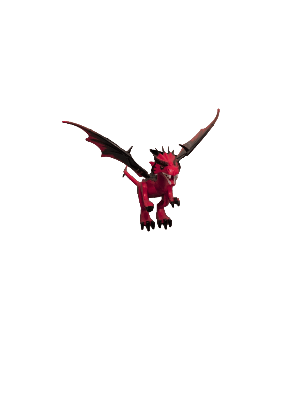 Toy Dragon, a recorded specimen