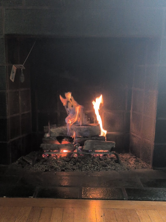 Fireplace, a captured specimen